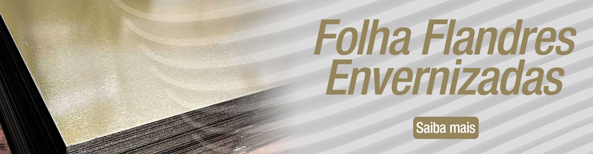 BannerFolhaFlandresEnvernizadas